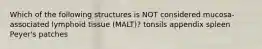 Which of the following structures is NOT considered mucosa-associated lymphoid tissue (MALT)? tonsils appendix spleen Peyer's patches