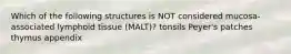Which of the following structures is NOT considered mucosa-associated lymphoid tissue (MALT)? tonsils Peyer's patches thymus appendix