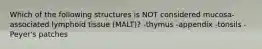 Which of the following structures is NOT considered mucosa-associated lymphoid tissue (MALT)? -thymus -appendix -tonsils -Peyer's patches