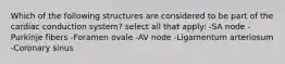 Which of the following structures are considered to be part of the cardiac conduction system? select all that apply: -SA node -Purkinje fibers -Foramen ovale -AV node -Ligamentum arteriosum -Coronary sinus