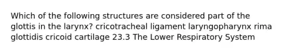 Which of the following structures are considered part of the glottis in the larynx? cricotracheal ligament laryngopharynx rima glottidis cricoid cartilage 23.3 The Lower Respiratory System