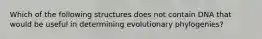 Which of the following structures does not contain DNA that would be useful in determining evolutionary phylogenies?