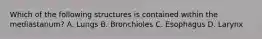 Which of the following structures is contained within the mediastanum? A. Lungs B. Bronchioles C. Esophagus D. Larynx