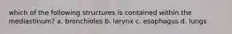 which of the following structures is contained within the mediastinum? a. bronchioles b. larynx c. esophagus d. lungs