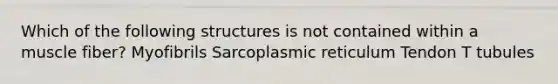 Which of the following structures is not contained within a muscle fiber? Myofibrils Sarcoplasmic reticulum Tendon T tubules