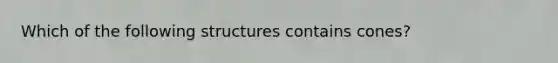 Which of the following structures contains cones?