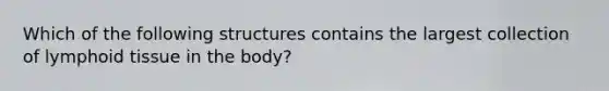 Which of the following structures contains the largest collection of lymphoid tissue in the body?