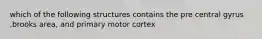 which of the following structures contains the pre central gyrus ,brooks area, and primary motor cortex