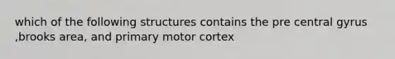 which of the following structures contains the pre central gyrus ,brooks area, and primary motor cortex