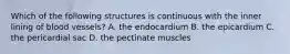 Which of the following structures is continuous with the inner lining of blood vessels? A. the endocardium B. the epicardium C. the pericardial sac D. the pectinate muscles