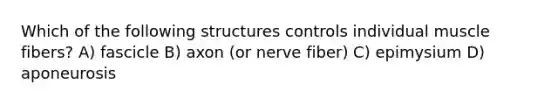 Which of the following structures controls individual muscle fibers? A) fascicle B) axon (or nerve fiber) C) epimysium D) aponeurosis