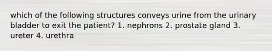 which of the following structures conveys urine from the urinary bladder to exit the patient? 1. nephrons 2. prostate gland 3. ureter 4. urethra