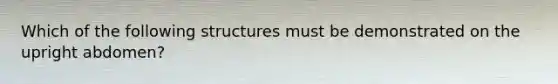 Which of the following structures must be demonstrated on the upright abdomen?