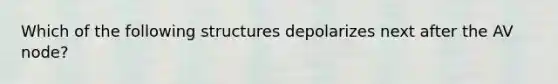 Which of the following structures depolarizes next after the AV node?