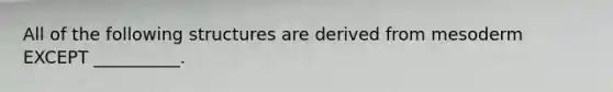 All of the following structures are derived from mesoderm EXCEPT __________.