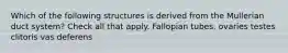 Which of the following structures is derived from the Mullerian duct system? Check all that apply. Fallopian tubes. ovaries testes clitoris vas deferens