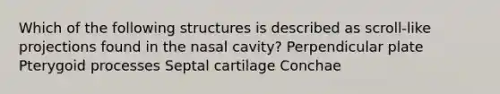 Which of the following structures is described as scroll-like projections found in the nasal cavity? Perpendicular plate Pterygoid processes Septal cartilage Conchae