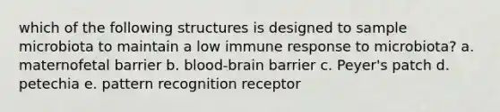 which of the following structures is designed to sample microbiota to maintain a low immune response to microbiota? a. maternofetal barrier b. blood-brain barrier c. Peyer's patch d. petechia e. pattern recognition receptor