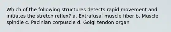 Which of the following structures detects rapid movement and initiates the stretch reflex? a. Extrafusal muscle fiber b. Muscle spindle c. Pacinian corpuscle d. Golgi tendon organ