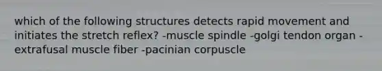 which of the following structures detects rapid movement and initiates the stretch reflex? -muscle spindle -golgi tendon organ -extrafusal muscle fiber -pacinian corpuscle