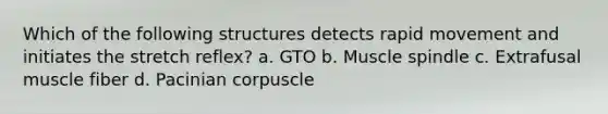 Which of the following structures detects rapid movement and initiates the stretch reflex? a. GTO b. Muscle spindle c. Extrafusal muscle fiber d. Pacinian corpuscle