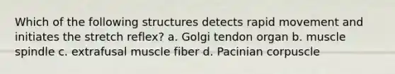 Which of the following structures detects rapid movement and initiates the stretch reflex? a. Golgi tendon organ b. muscle spindle c. extrafusal muscle fiber d. Pacinian corpuscle