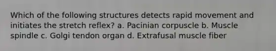 Which of the following structures detects rapid movement and initiates the stretch reflex? a. Pacinian corpuscle b. Muscle spindle c. Golgi tendon organ d. Extrafusal muscle fiber