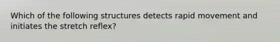 Which of the following structures detects rapid movement and initiates the stretch reflex?