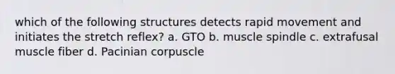 which of the following structures detects rapid movement and initiates the stretch reflex? a. GTO b. muscle spindle c. extrafusal muscle fiber d. Pacinian corpuscle