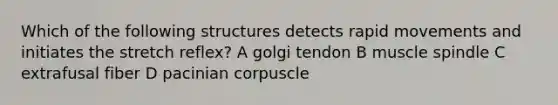 Which of the following structures detects rapid movements and initiates the stretch reflex? A golgi tendon B muscle spindle C extrafusal fiber D pacinian corpuscle