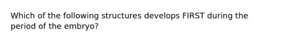 Which of the following structures develops FIRST during the period of the embryo?