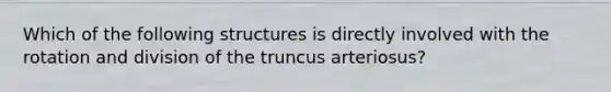 Which of the following structures is directly involved with the rotation and division of the truncus arteriosus?