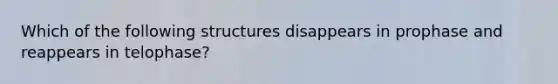 Which of the following structures disappears in prophase and reappears in telophase?