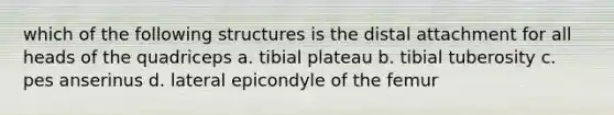 which of the following structures is the distal attachment for all heads of the quadriceps a. tibial plateau b. tibial tuberosity c. pes anserinus d. lateral epicondyle of the femur