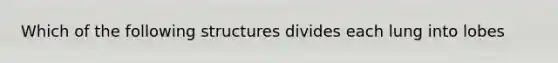 Which of the following structures divides each lung into lobes