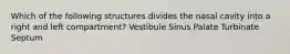 Which of the following structures divides the nasal cavity into a right and left compartment? Vestibule Sinus Palate Turbinate Septum