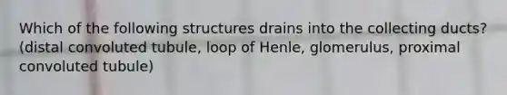 Which of the following structures drains into the collecting ducts? (distal convoluted tubule, loop of Henle, glomerulus, proximal convoluted tubule)