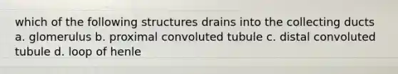 which of the following structures drains into the collecting ducts a. glomerulus b. proximal convoluted tubule c. distal convoluted tubule d. loop of henle