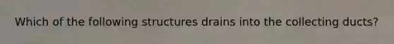 Which of the following structures drains into the collecting ducts?