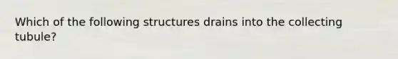 Which of the following structures drains into the collecting tubule?