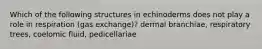 Which of the following structures in echinoderms does not play a role in respiration (gas exchange)? dermal branchiae, respiratory trees, coelomic fluid, pedicellariae