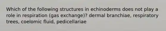 Which of the following structures in echinoderms does not play a role in respiration (gas exchange)? dermal branchiae, respiratory trees, coelomic fluid, pedicellariae