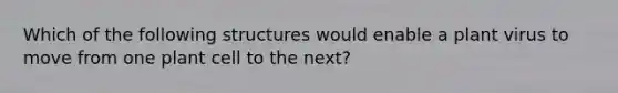 Which of the following structures would enable a plant virus to move from one plant cell to the next?