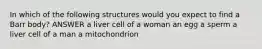 In which of the following structures would you expect to find a Barr body? ANSWER a liver cell of a woman an egg a sperm a liver cell of a man a mitochondrion