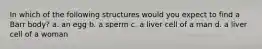 In which of the following structures would you expect to find a Barr body? a. an egg b. a sperm c. a liver cell of a man d. a liver cell of a woman