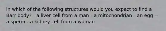 in which of the following structures would you expect to find a Barr body? --a liver cell from a man --a mitochondrian --an egg --a sperm --a kidney cell from a woman