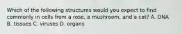 Which of the following structures would you expect to find commonly in cells from a rose, a mushroom, and a cat? A. DNA B. tissues C. viruses D. organs