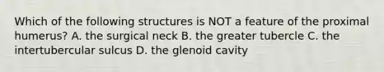 Which of the following structures is NOT a feature of the proximal humerus? A. the surgical neck B. the greater tubercle C. the intertubercular sulcus D. the glenoid cavity