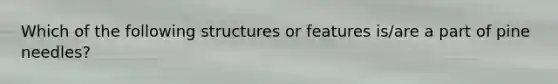 Which of the following structures or features is/are a part of pine needles?