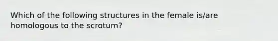 Which of the following structures in the female is/are homologous to the scrotum?